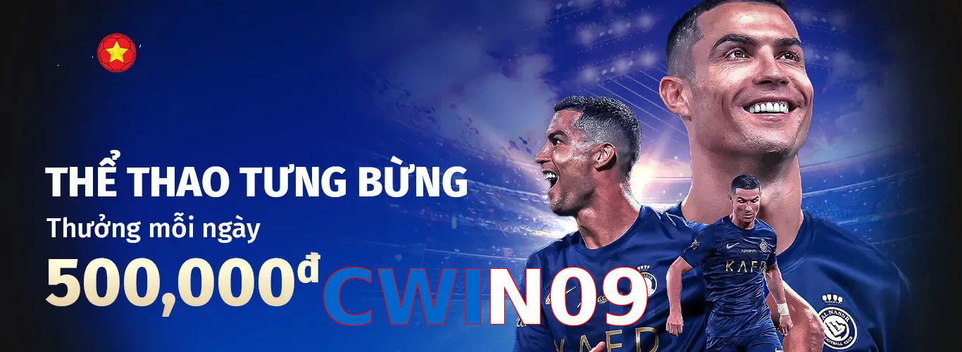 CWIN09