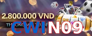 CWIN09
