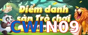 CWIN09