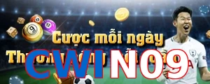 CWIN09