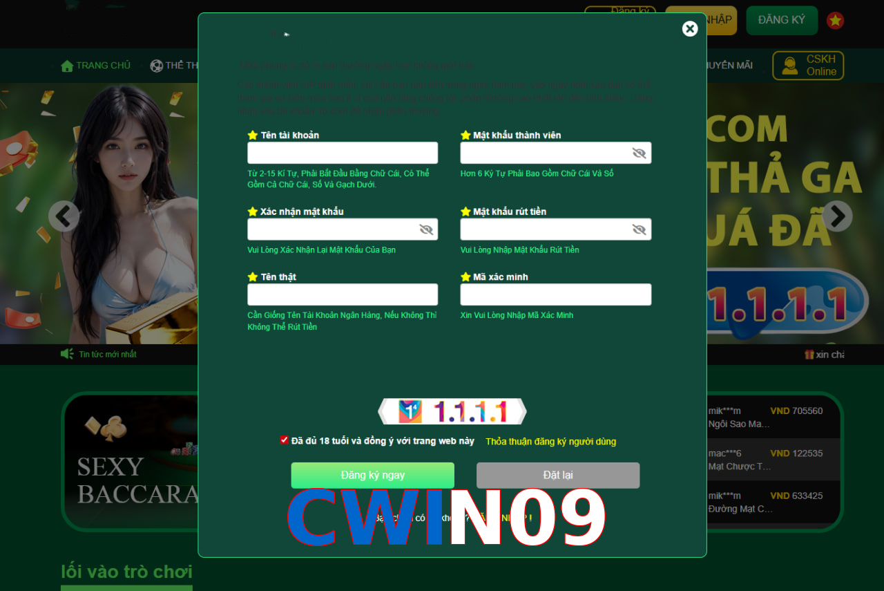 CWIN09
